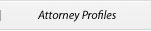 Attorney Profiles